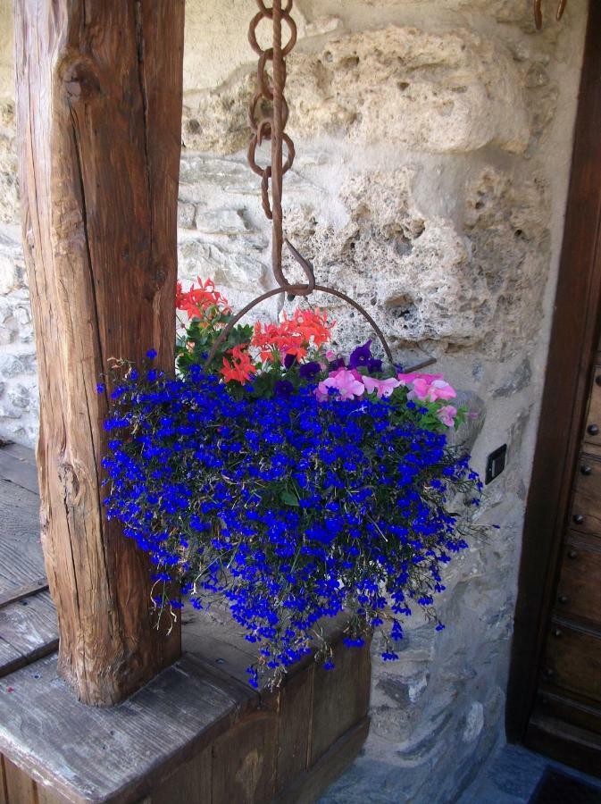 Le Petit Chateau De Vetan Cir 0023 Saint-Pierre Luaran gambar